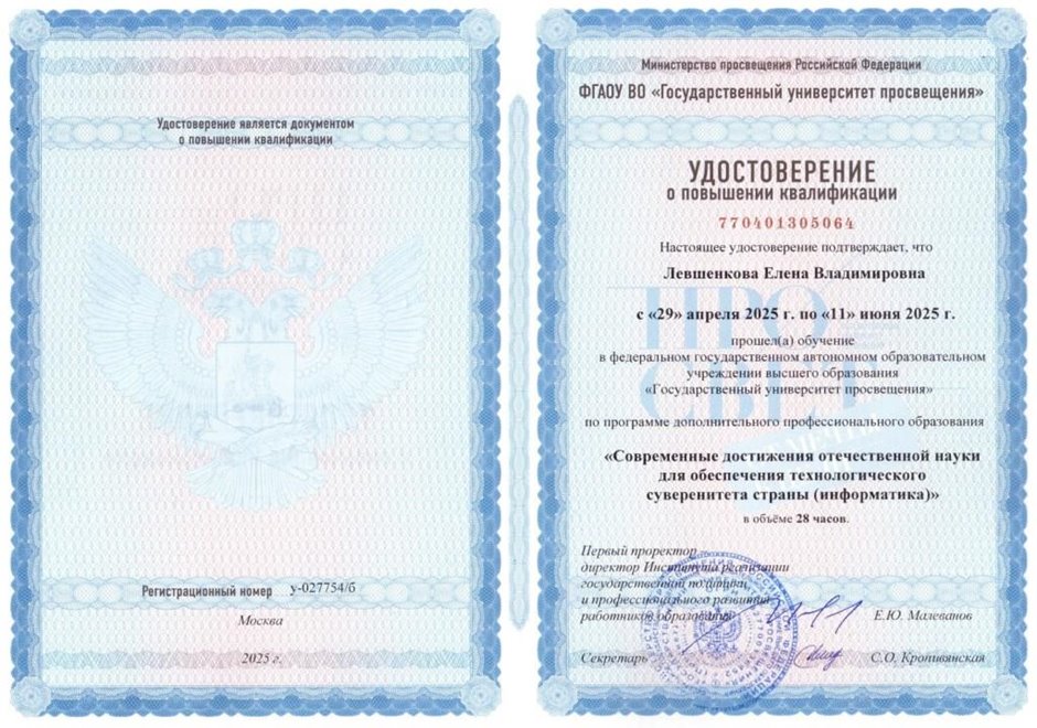 Левшенкова Елена Владимировна 2024-2025